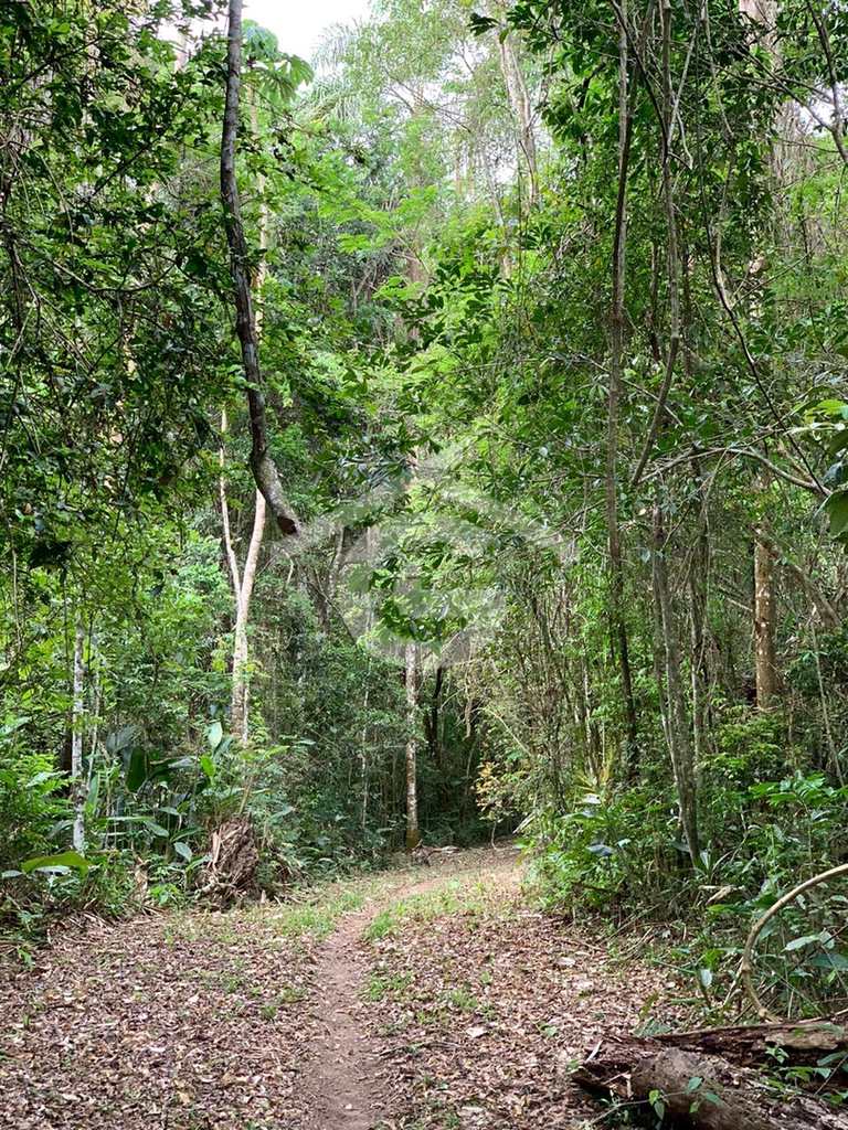 Sítio em Santa Branca, no bairro Santa Branca