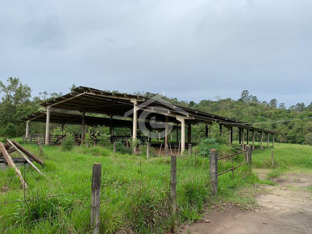 Sítio em Santa Branca, no bairro Santa Branca