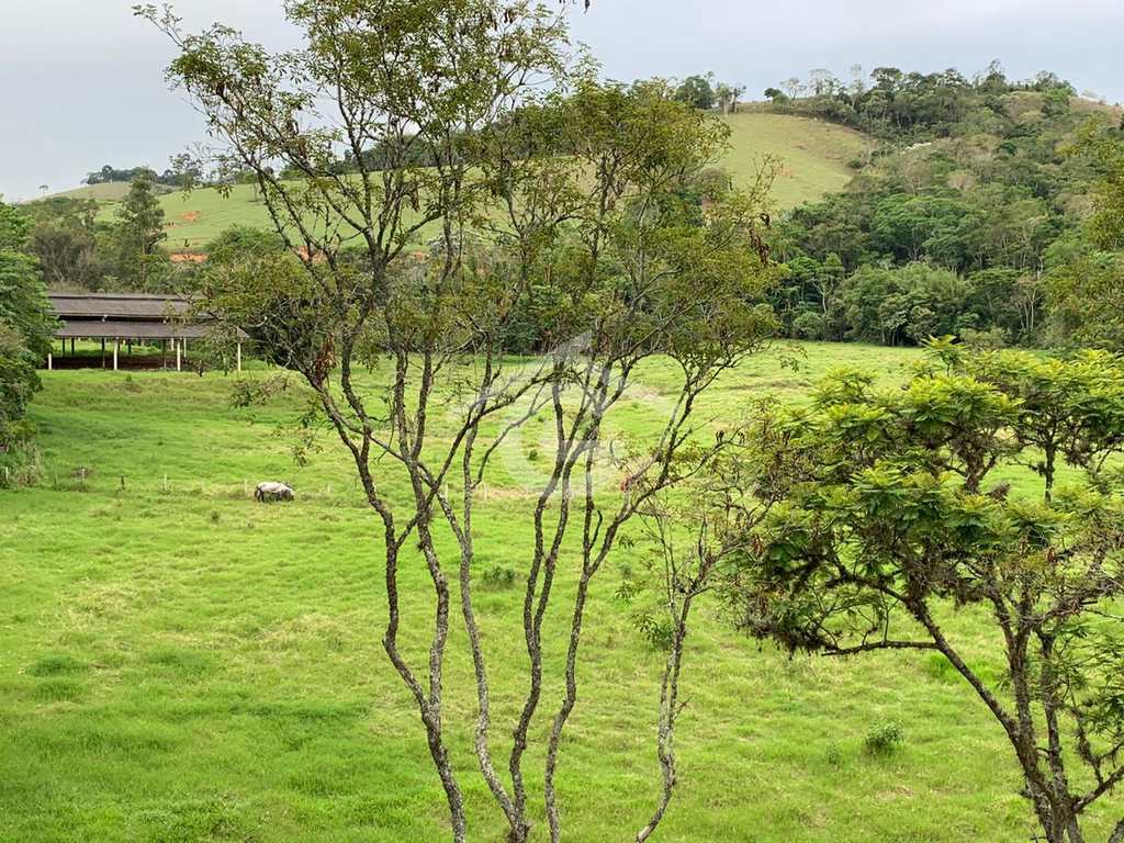 Sítio em Santa Branca, no bairro Santa Branca