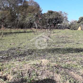Terreno em Santa Branca, bairro Jardim Costão