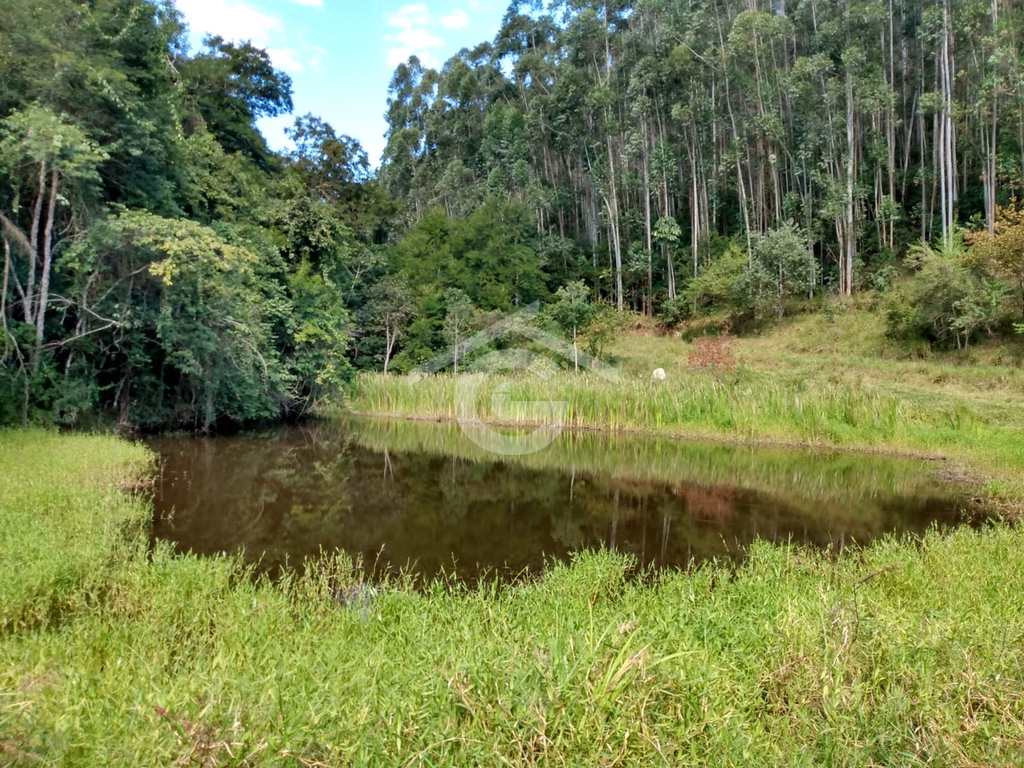 Sítio em Santa Branca, no bairro Jacaré
