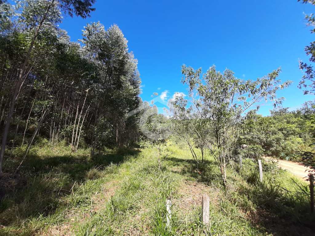 Sítio em Santa Branca, no bairro Jacaré