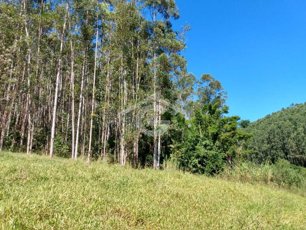 Sítio em Santa Branca, no bairro Jacaré