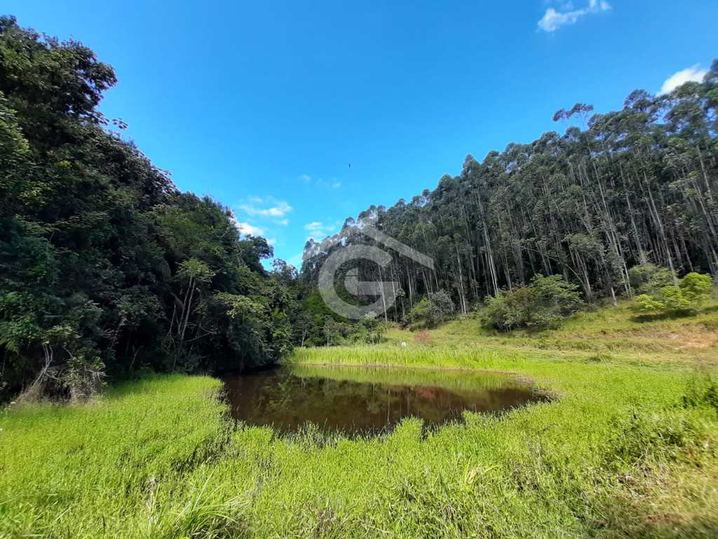 Sítio em Santa Branca, no bairro Jacaré