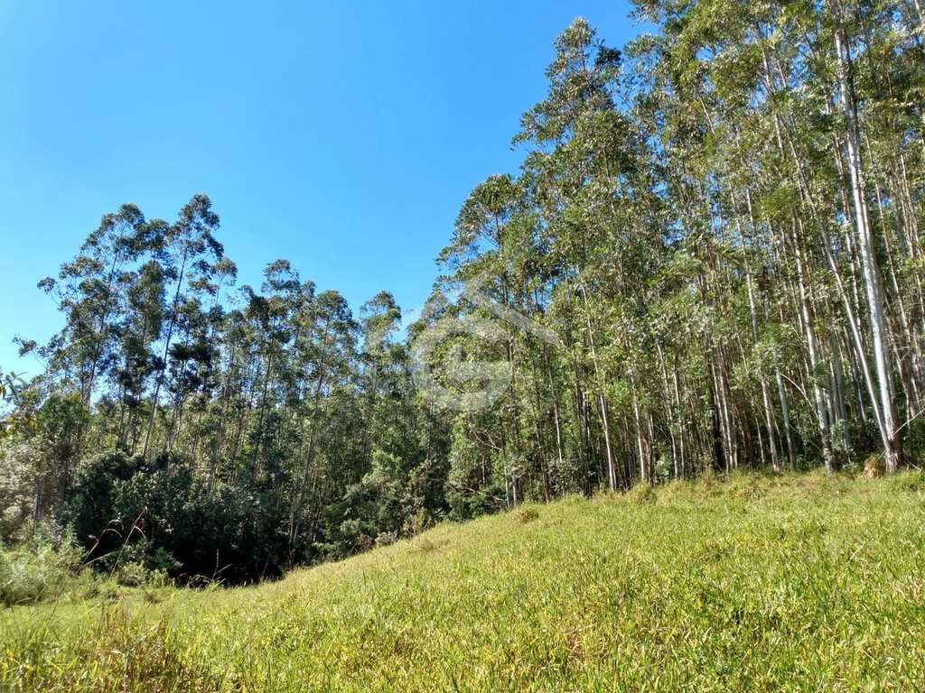 Sítio em Santa Branca, no bairro Jacaré