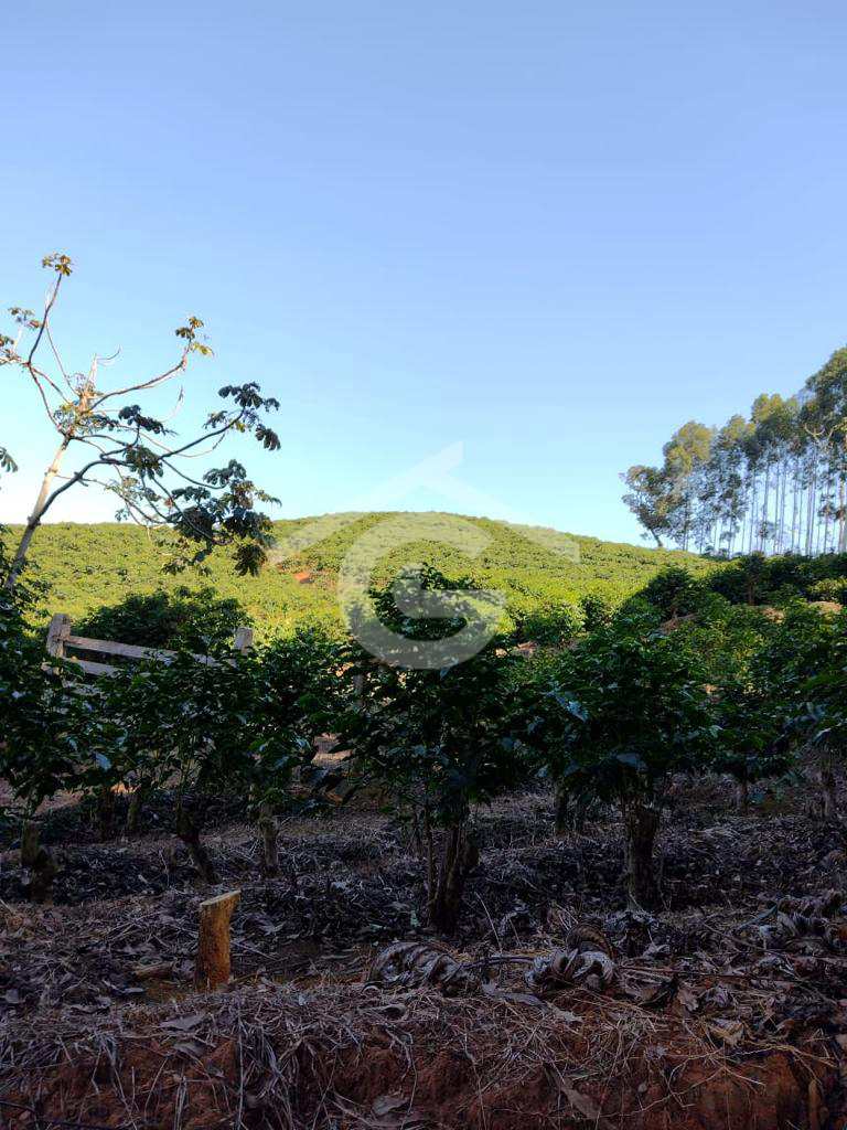 Sítio em Poços de Caldas, no bairro Área Rural de Poços de Caldas