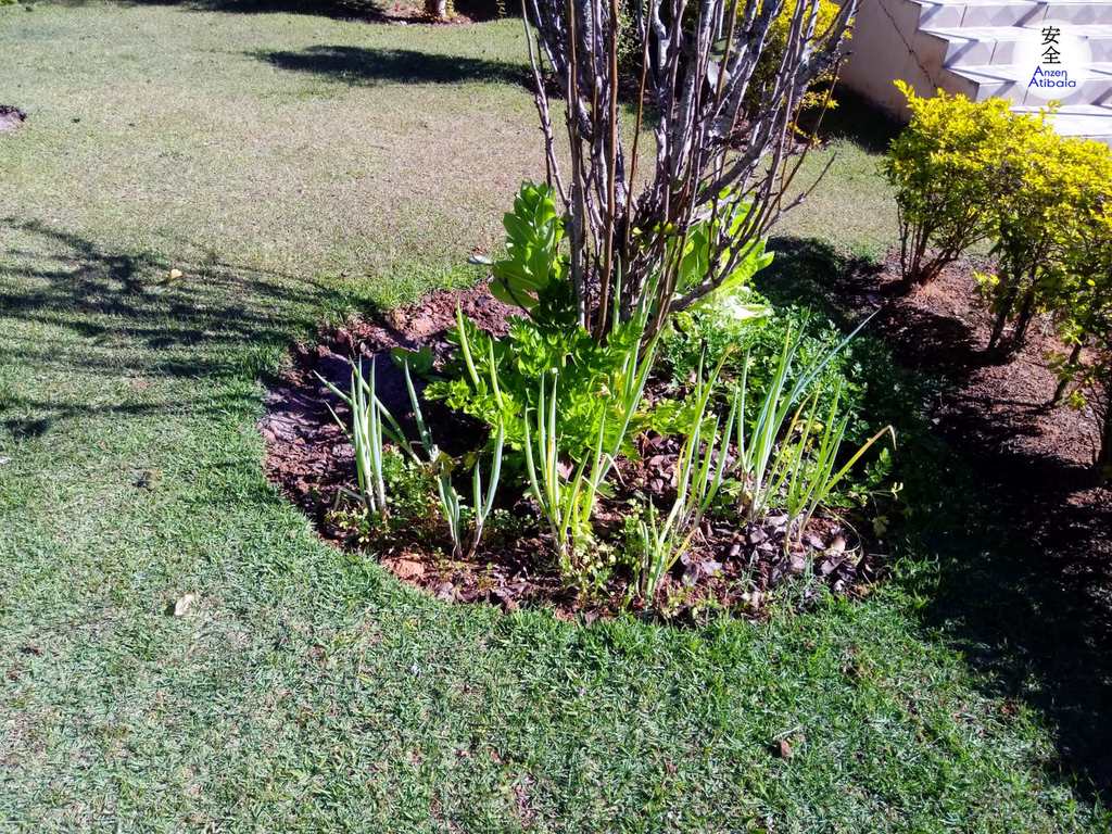 Casa de Condomínio em Atibaia, no bairro Jardim das Cerejeiras