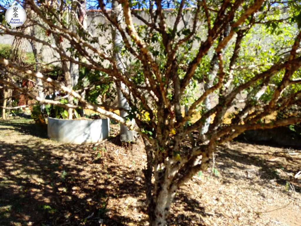 Casa de Condomínio em Atibaia, no bairro Jardim das Cerejeiras