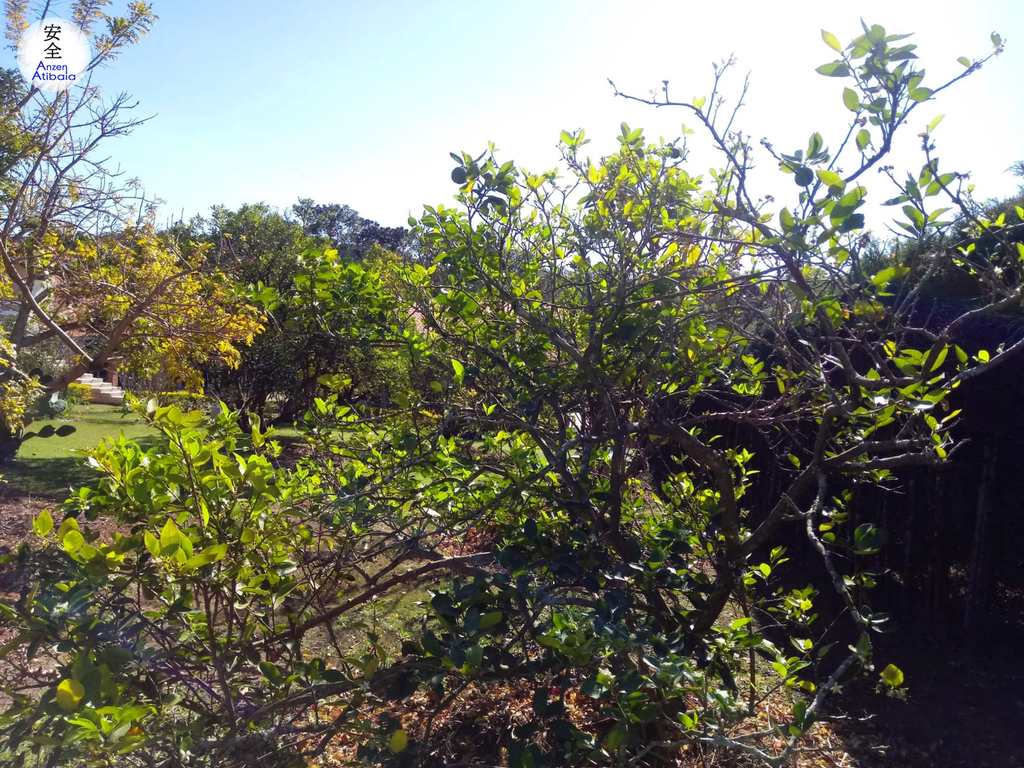 Casa de Condomínio em Atibaia, no bairro Jardim das Cerejeiras