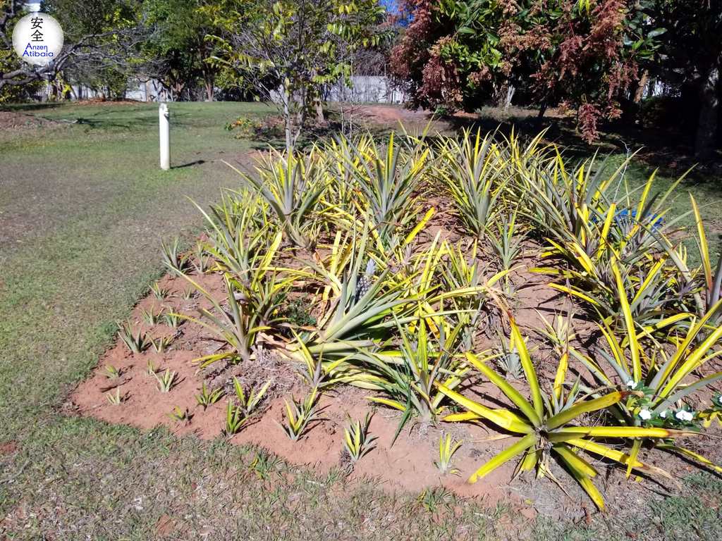 Casa de Condomínio em Atibaia, no bairro Jardim das Cerejeiras