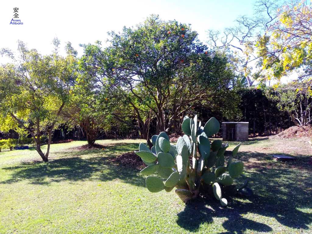 Casa de Condomínio em Atibaia, no bairro Jardim das Cerejeiras