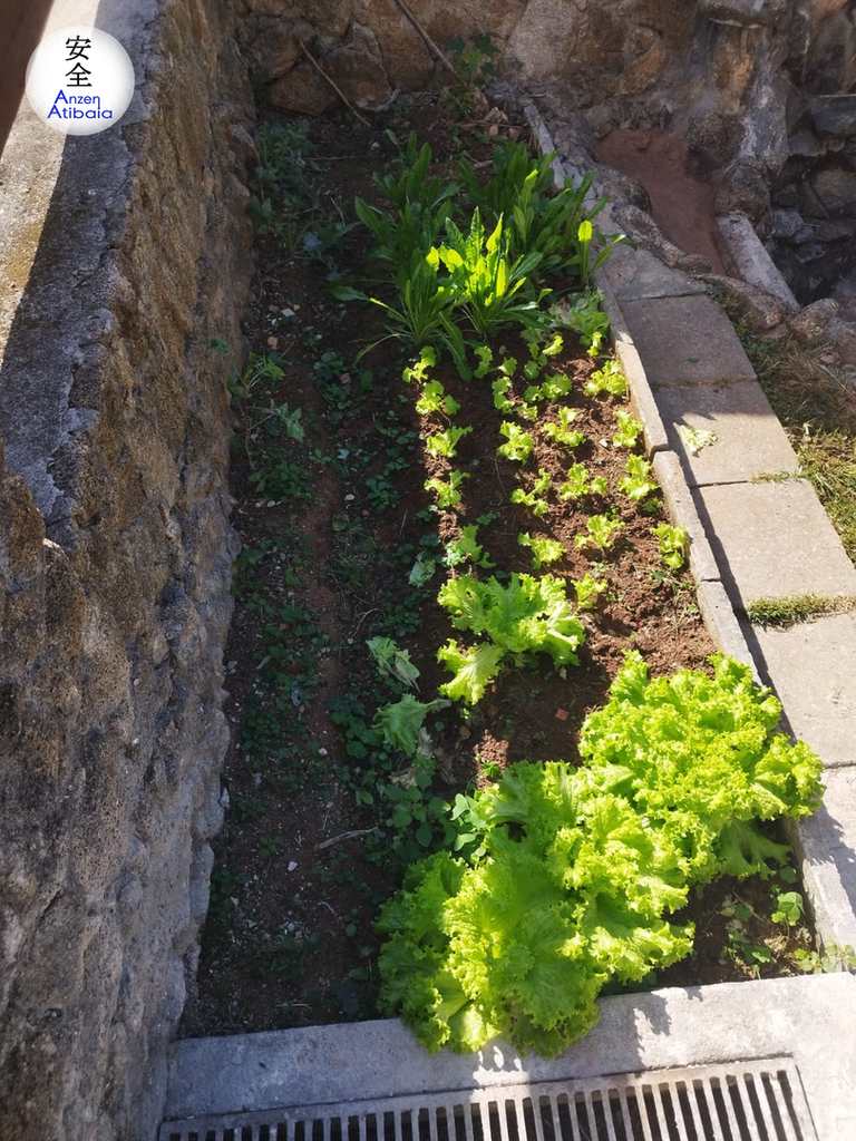 Casa em Atibaia, no bairro Atibaia