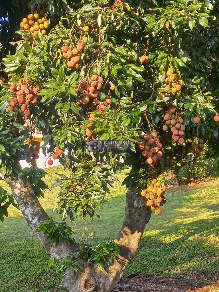 Casa em Socorro, no bairro Recanto do Bosque
