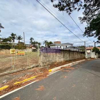 Terreno em Serra Negra, bairro Jardim Parque das Palmeiras