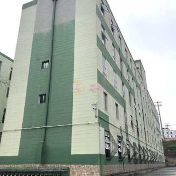 Apartamento em São Paulo, bairro Conjunto Residencial José Bonifácio