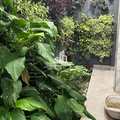 Casa em Sorocaba, bairro Terras de Arieta