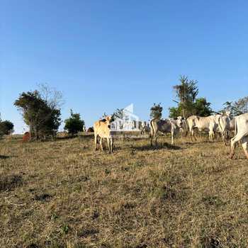 Sítio em Tatuí, bairro Jurumirim