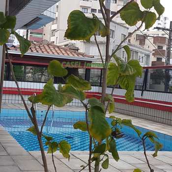 Apartamento em Praia Grande, bairro Guilhermina