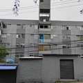 Apartamento em São Paulo, bairro Conjunto Residencial José Bonifácio