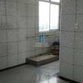 Apartamento em São Paulo, bairro Conjunto Residencial José Bonifácio