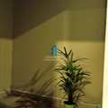 Apartamento em São Paulo, bairro Vila Matilde