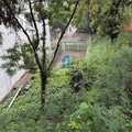 Apartamento em São Paulo, bairro Itaquera