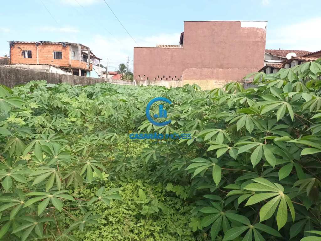 Terreno em Caraguatatuba, no bairro Praia das Palmeiras