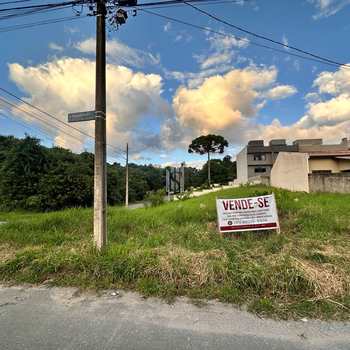 Terreno em Curitiba, bairro Abranches