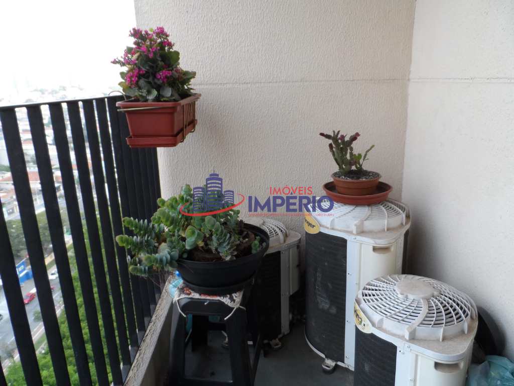 Foto principal