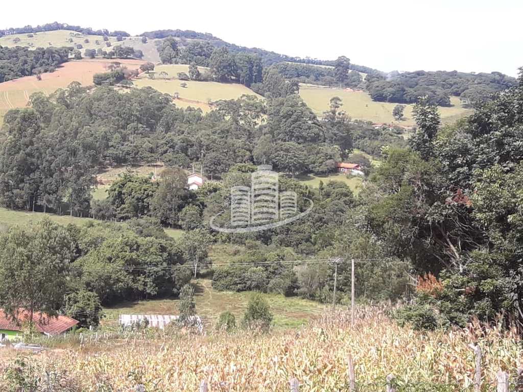 Foto principal