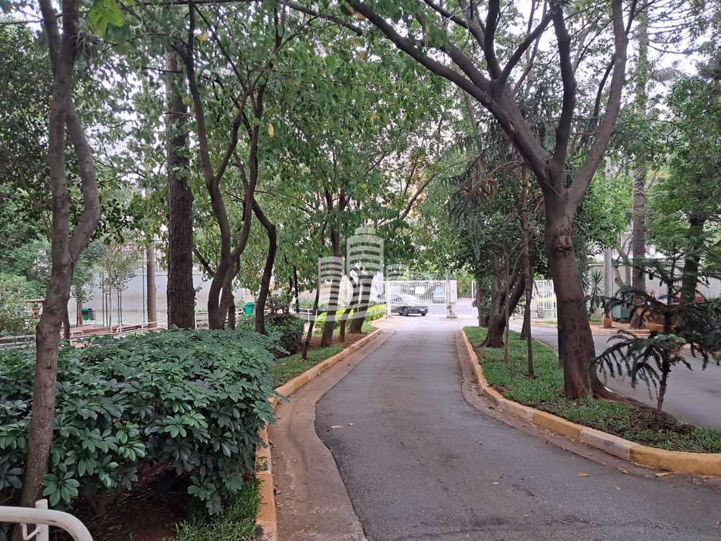 Foto principal