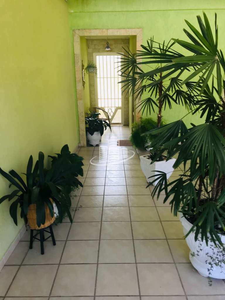 Foto principal