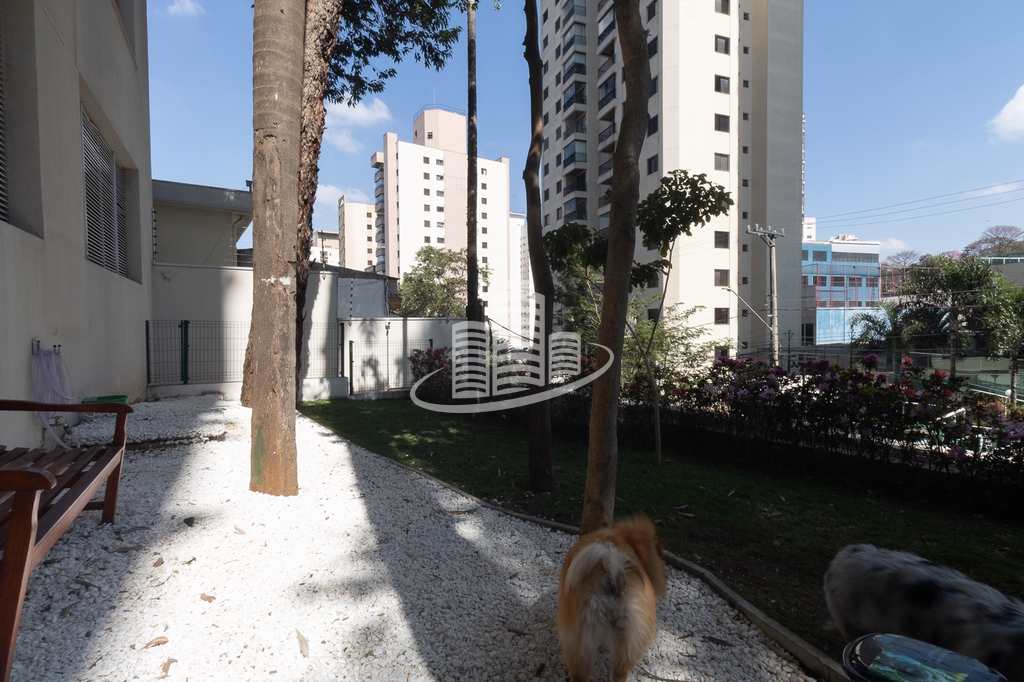 Foto principal