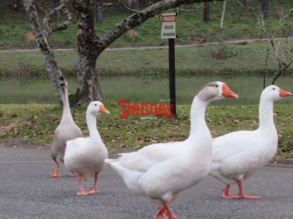 Terreno de Condomínio em Bragança Paulista, no bairro Condomínio Jardim das Palmeiras
