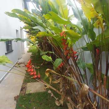 Casa em Bertioga, bairro Riviera