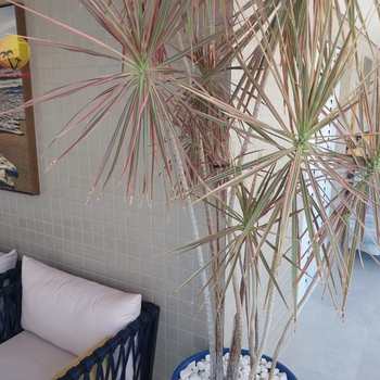 Apartamento em Bertioga, bairro Riviera