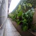 Casa em Praia Grande, bairro Ocian