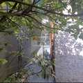 Casa em Santos, bairro Vila Mathias