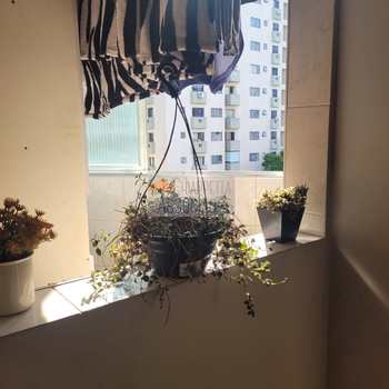 Apartamento em Santos, bairro José Menino