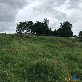 Chácara em Vianópolis, bairro Zona Rural