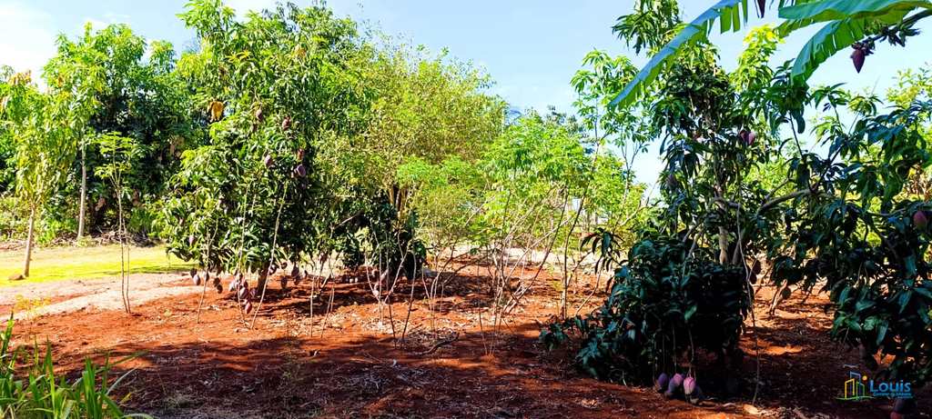 Chácara em Ibiporã, no bairro Pr 090