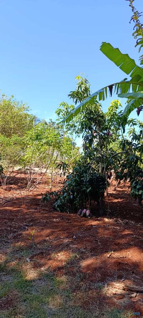 Chácara em Ibiporã, no bairro Pr 090