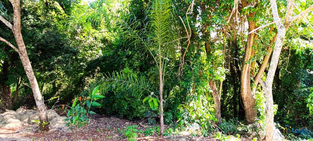 Chácara em Ibiporã, no bairro Pr 090