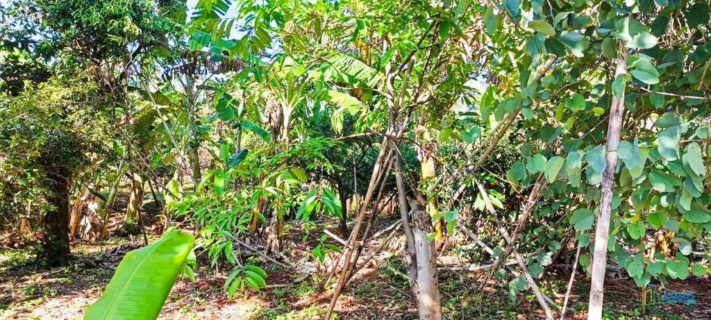 Chácara em Ibiporã, no bairro Jardim Marajoara