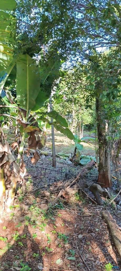 Chácara em Ibiporã, no bairro Jardim Marajoara