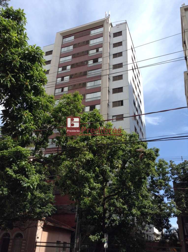 Apartamento em Belo Horizonte, no bairro Savassi