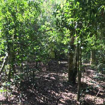 Terreno em Embu-Guaçu, bairro Chácara Seabra