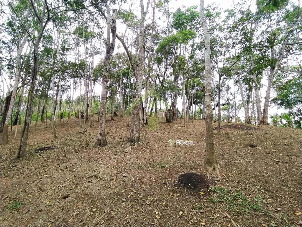 Terreno Rural em São Paulo, no bairro Jardim das Fontes