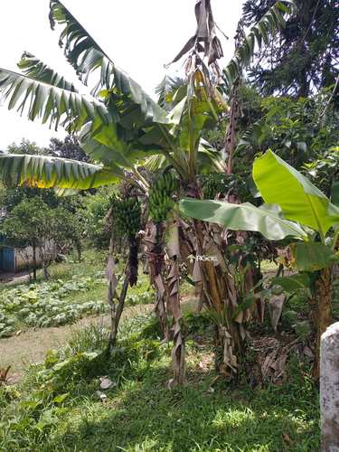 Chácara, código 2916 em Embu-Guaçu, bairro Vale Tranquilo