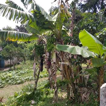 Chácara em Embu-Guaçu, bairro Vale Tranquilo